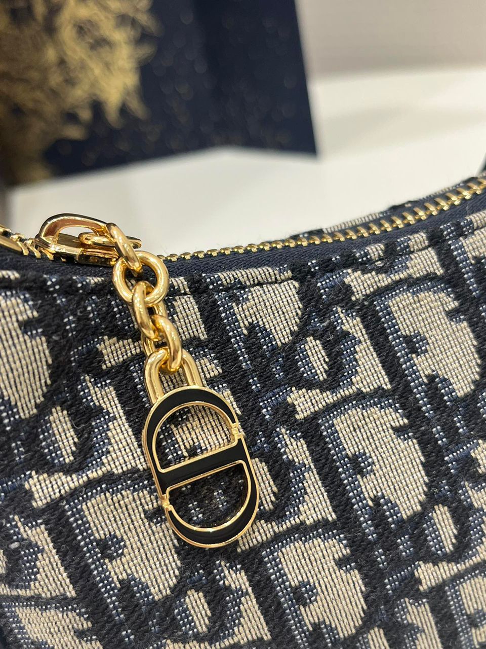 Dior Oblique Canvas Shoulder Bag